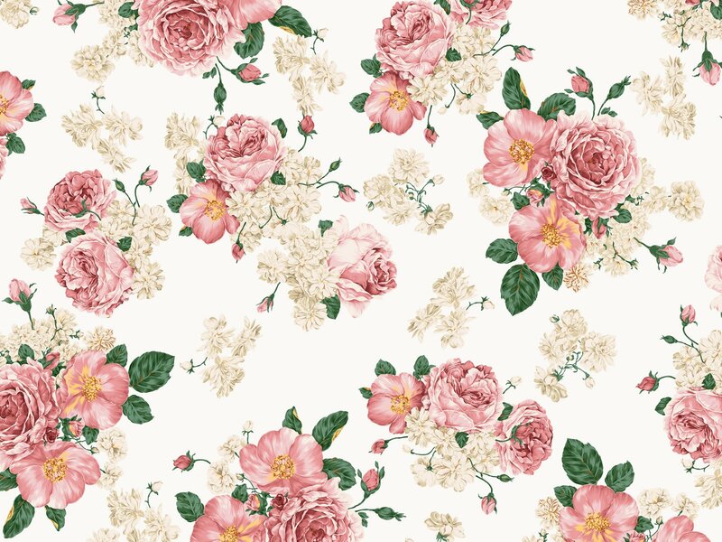 Pink and White Roses — Calm, Illustration