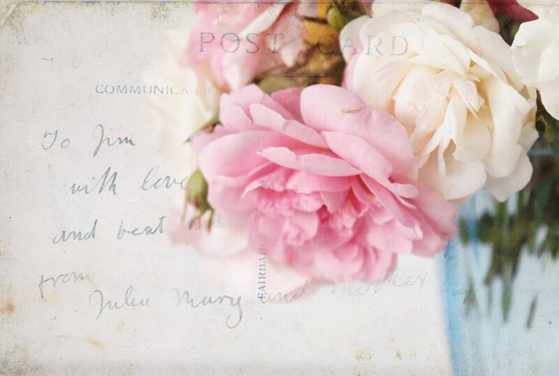 Pink and White Roses — Sentimental