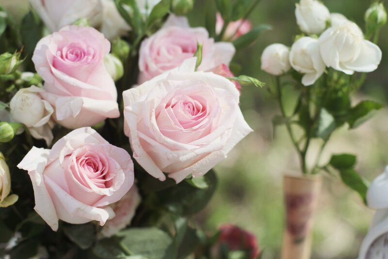 Pink and White Roses — Serene, Afternoon, Photograph, Bouquet