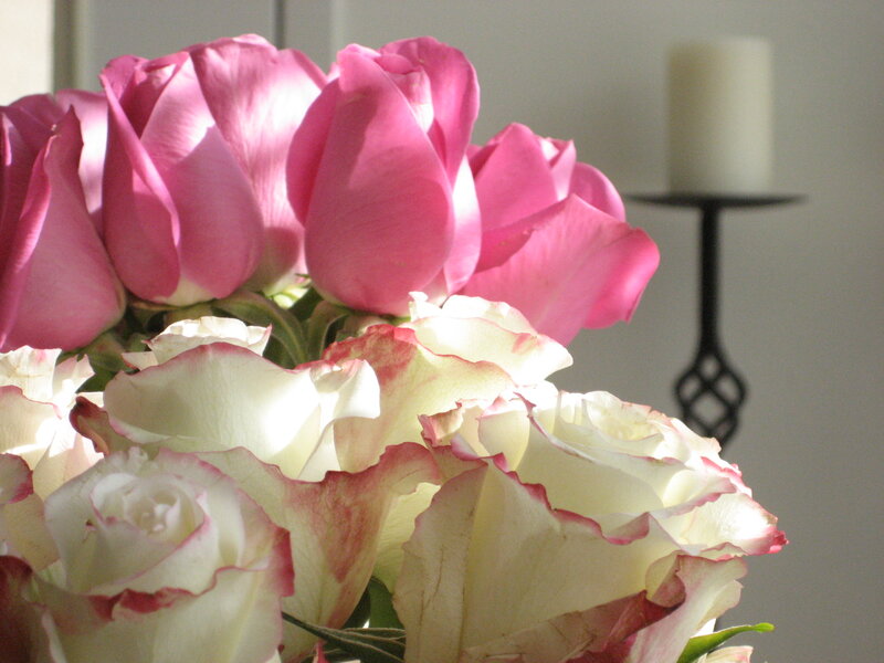Pink and White Roses — Serene, Afternoon, Photograph, Candle