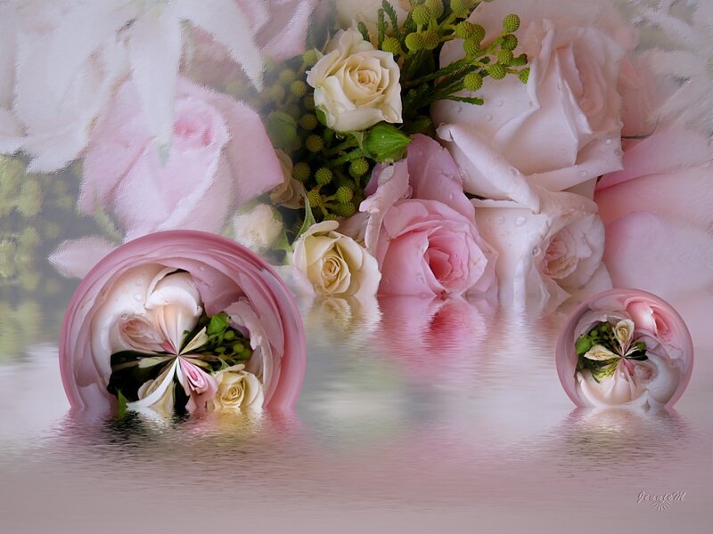 Pink and White Roses — Serene, Digital Art, Flowers