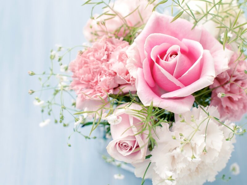 Pink and White Roses — Serene, Photograph, Carnations