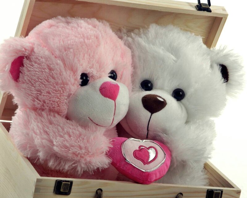 Pink and White Teddy Bears