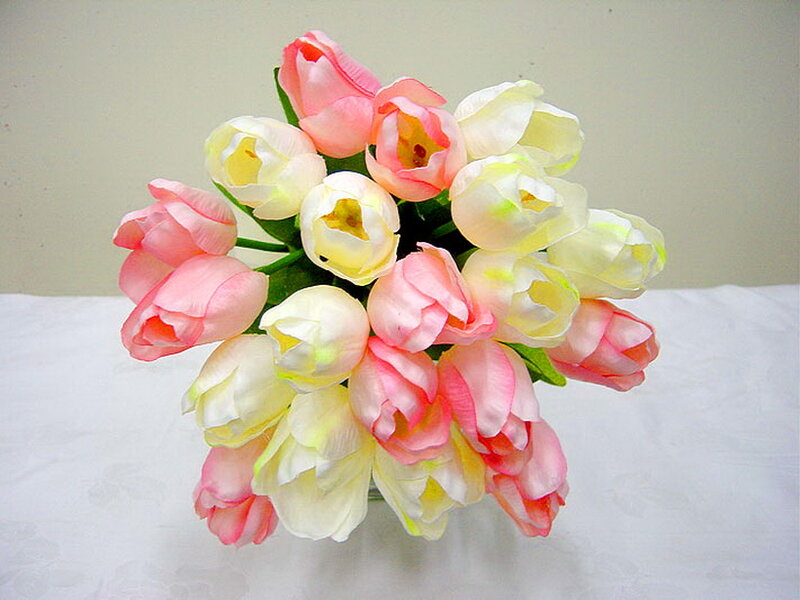Pink and White Tulips — Calm, Photograph