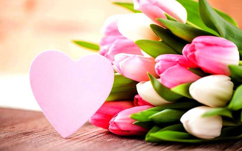 Pink and White Tulips — Romantic