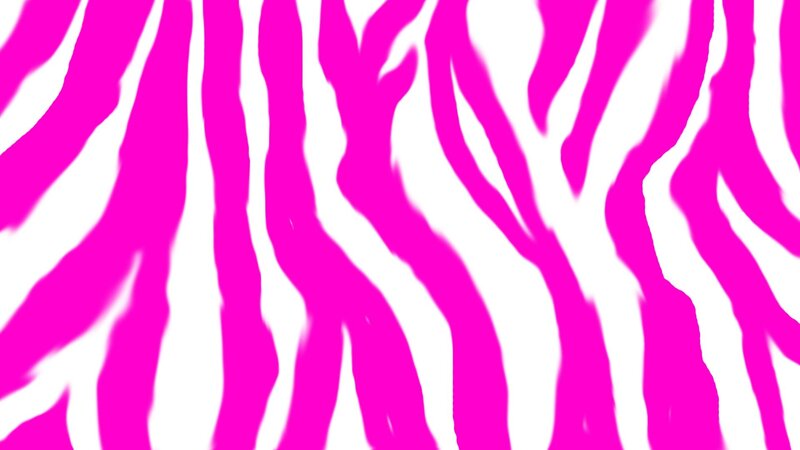 Pink and White Zebra Stripes — Vibrant