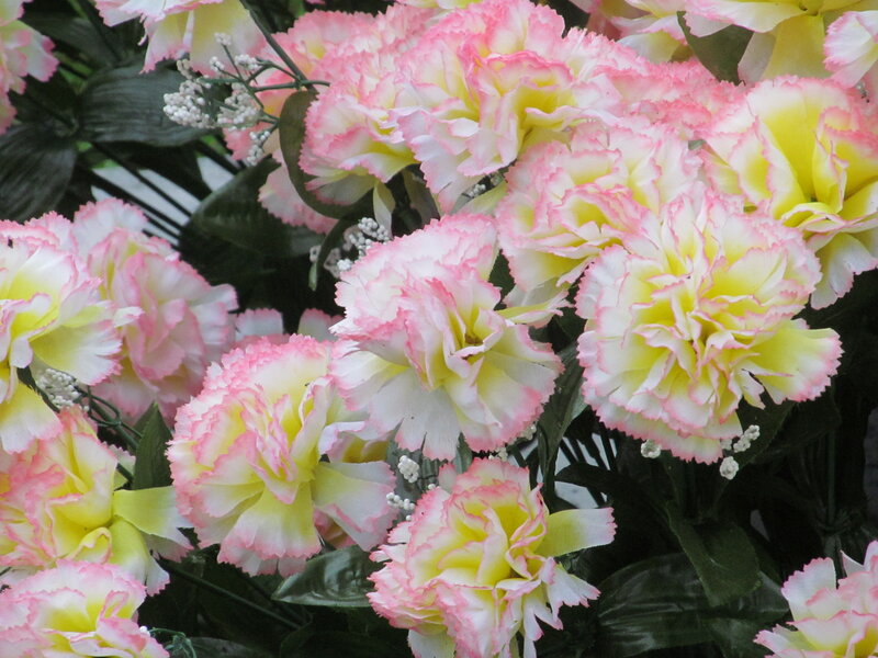 Pink and Yellow Carnations
