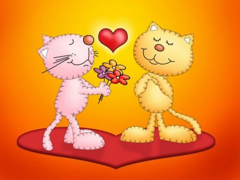 Pink and Yellow Cats