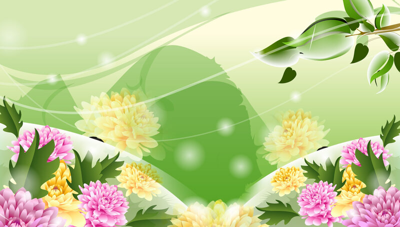Pink and Yellow Chrysanthemums — Green