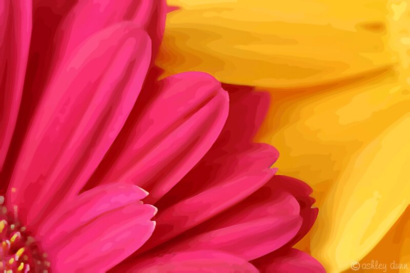 Pink and Yellow Flower — Vibrant