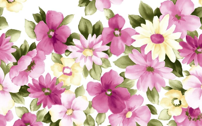 Pink and Yellow Flowers — Cheerful, Illustration