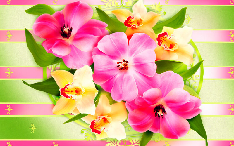 Pink and Yellow Flowers — Cheerful