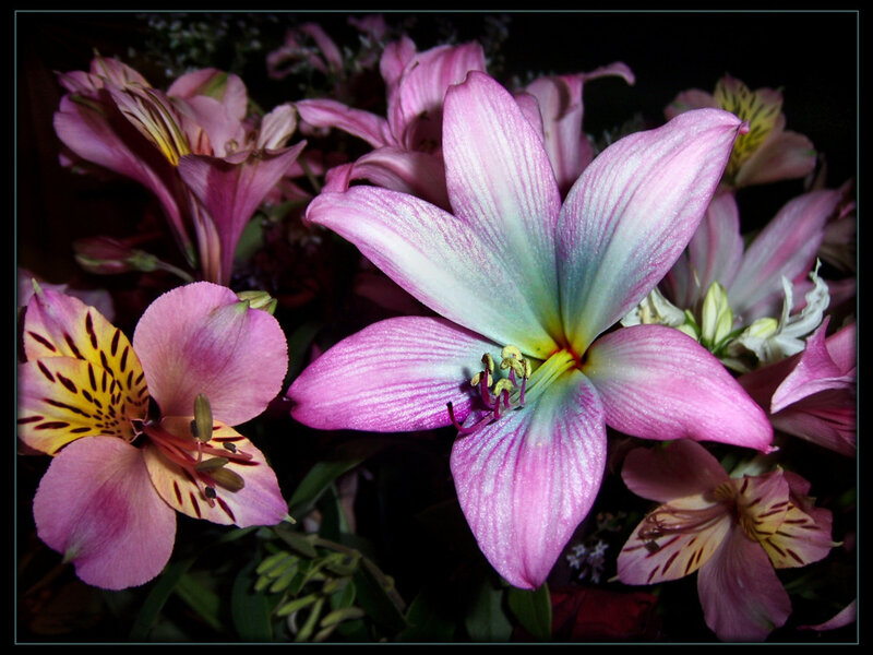 Pink and yellow flowers in bouquet