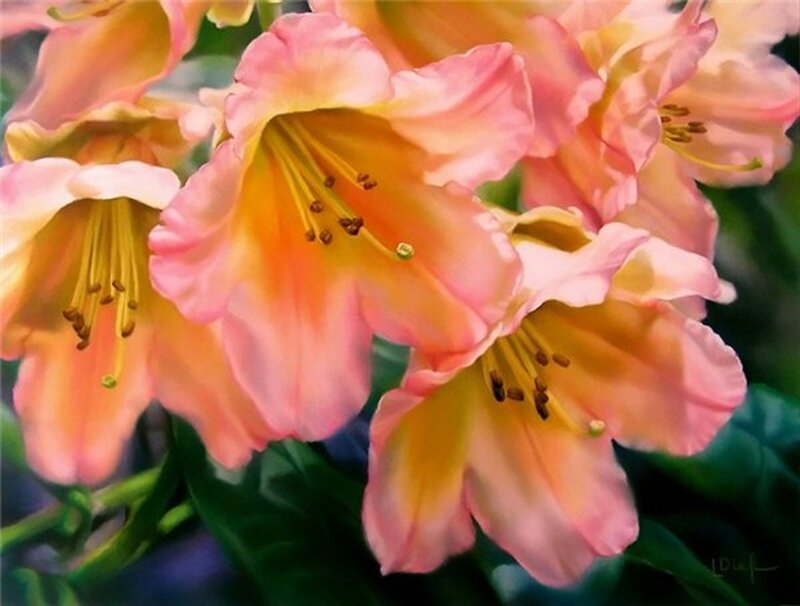 Pink and Yellow Flowers — Serene, Painting