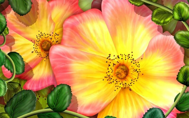 Pink and Yellow Flowers — Vibrant, Digital Art