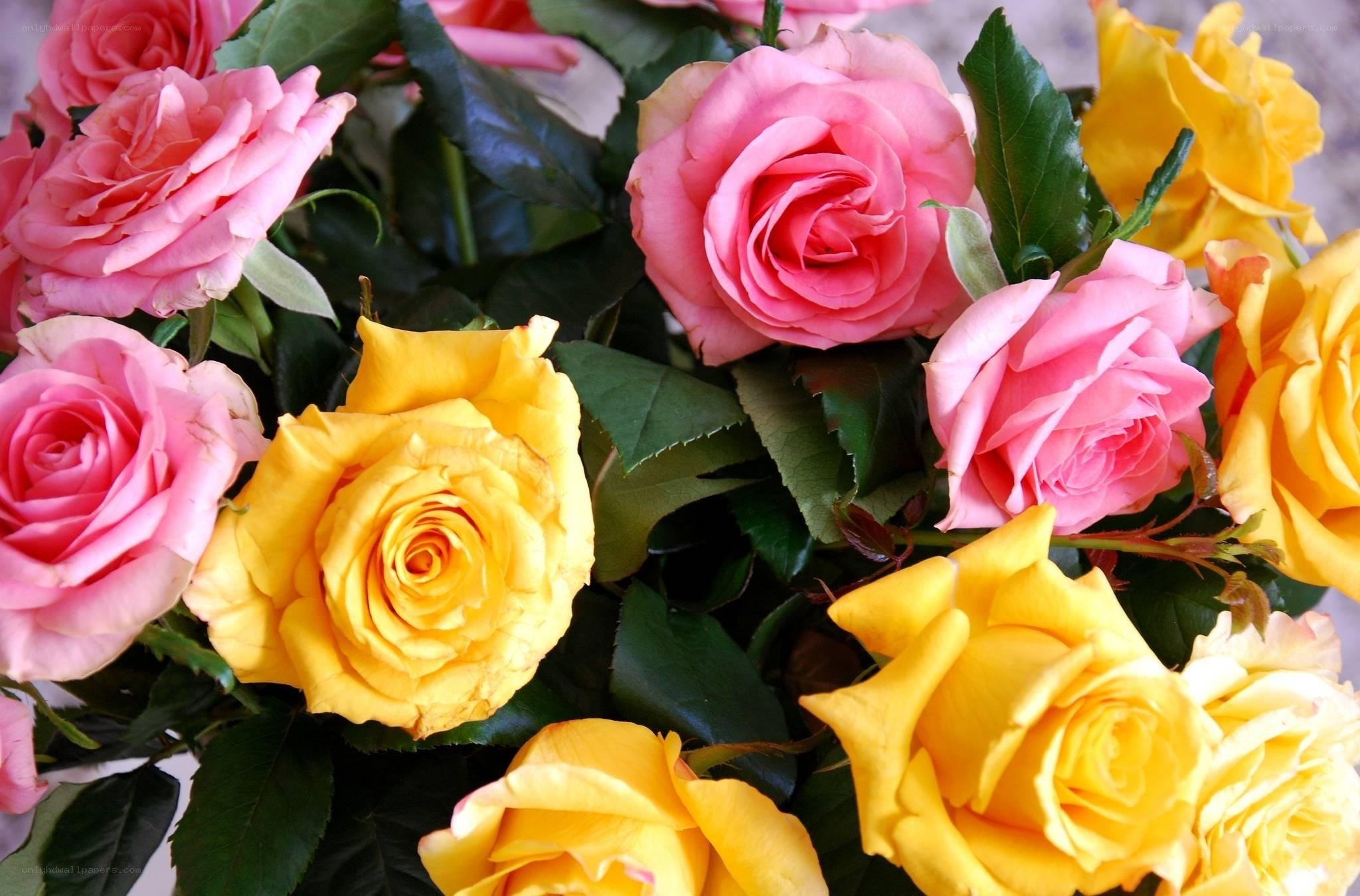 Pink and yellow roses bouquet