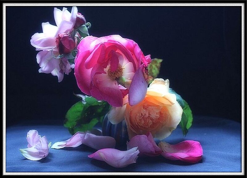 Pink and yellow roses in a vase
