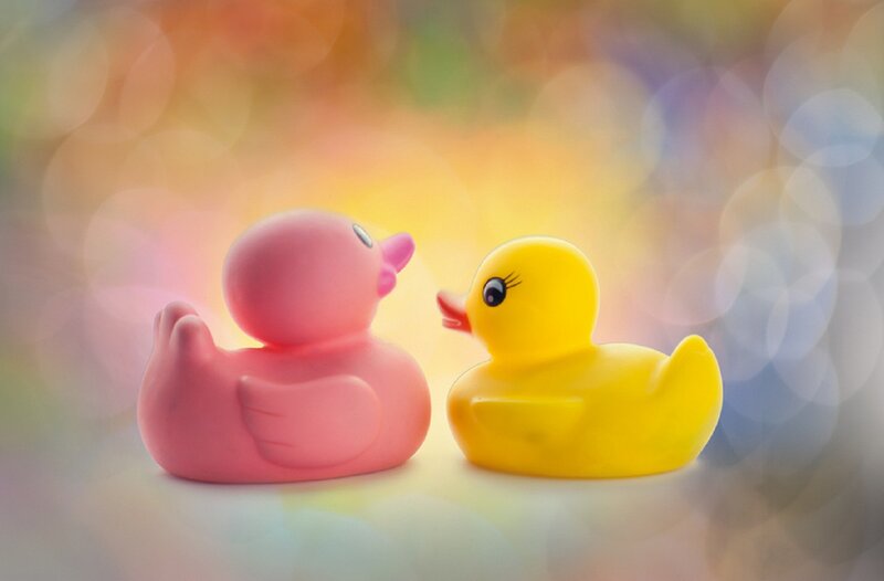 Pink and Yellow Rubber Ducks