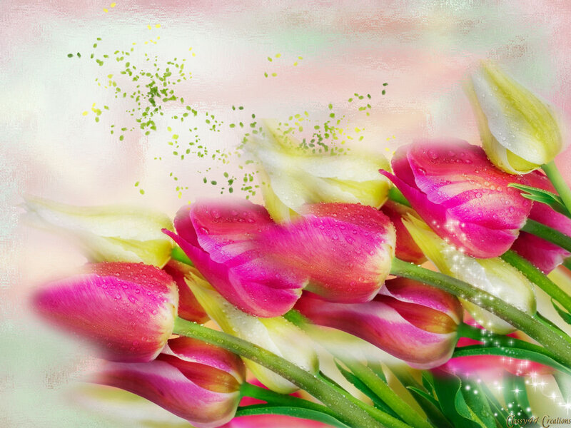 Pink and Yellow Tulips — Serene, Spring, Digital Art