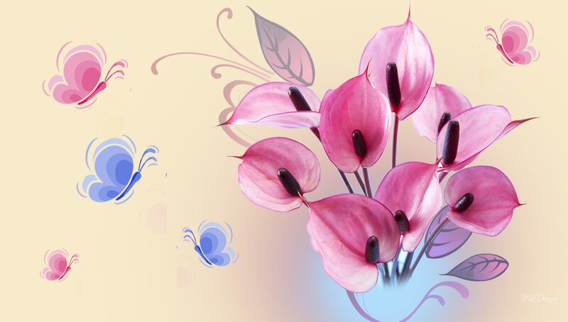 Pink Anthurium Flowers — Serene, Digital Art