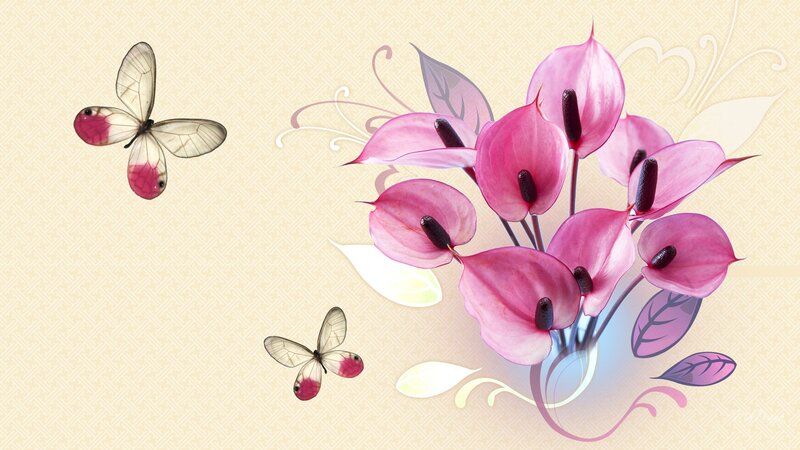 Pink Anthurium Flowers — Serene