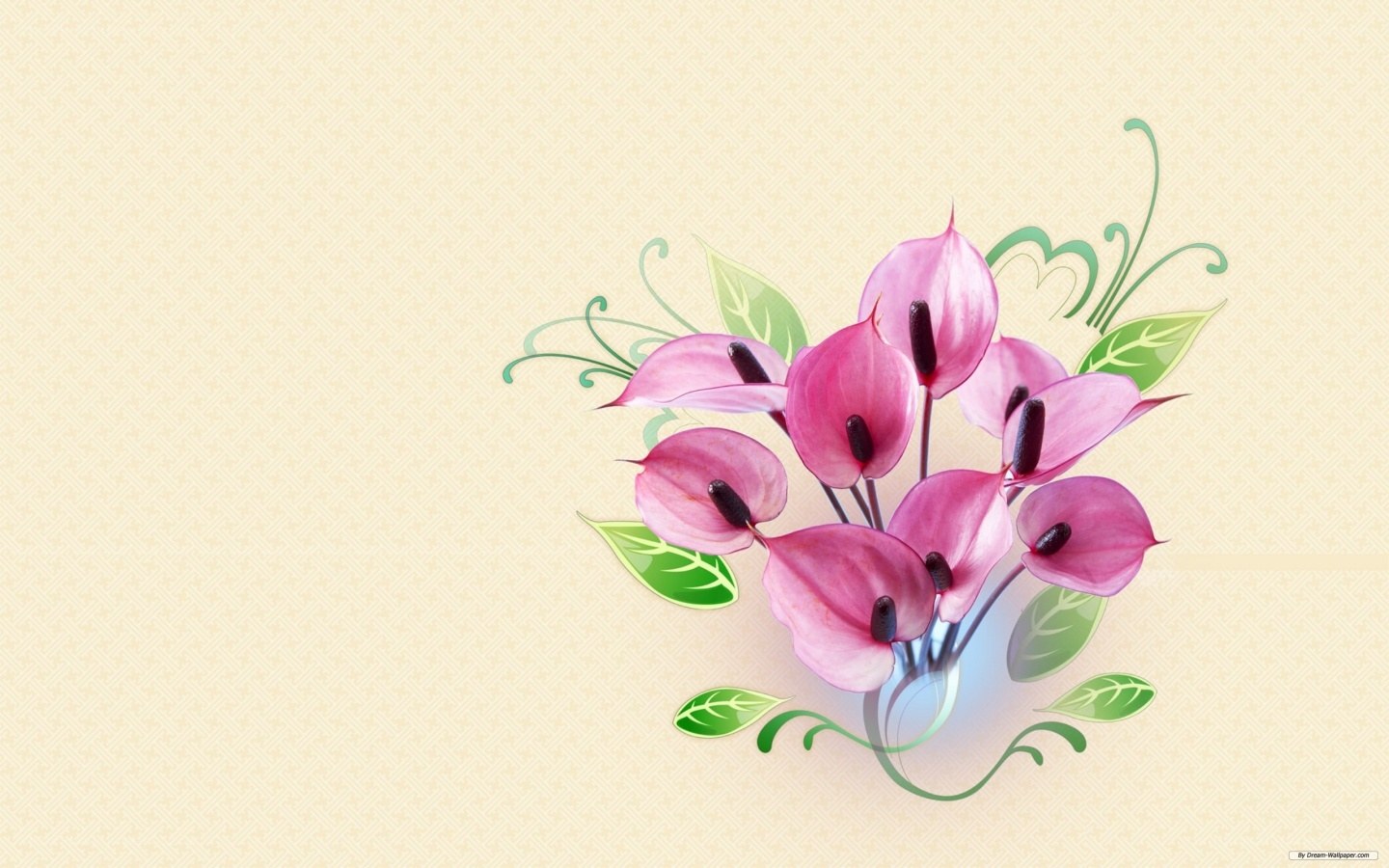 Pink anthurium flowers