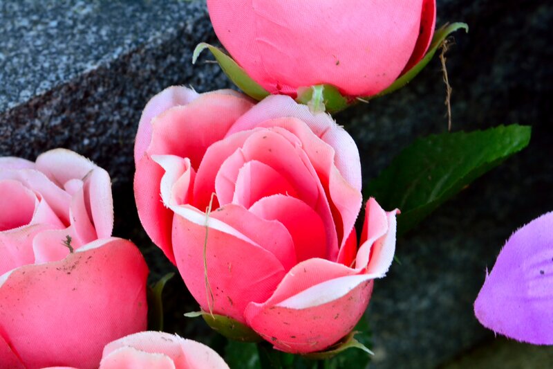 Pink Artificial Roses — Calm