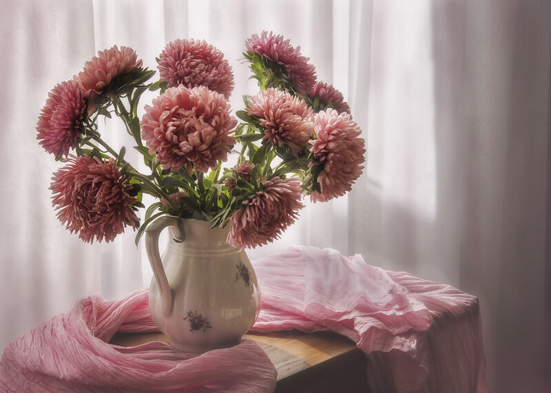 Pink Asters in Vase — Serene