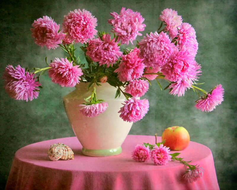 Pink Asters in Vase