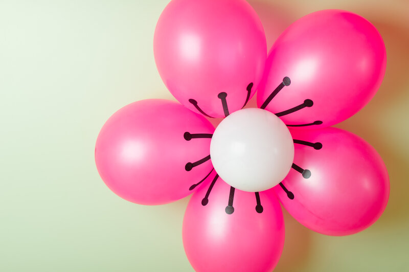 Pink Balloon Flower