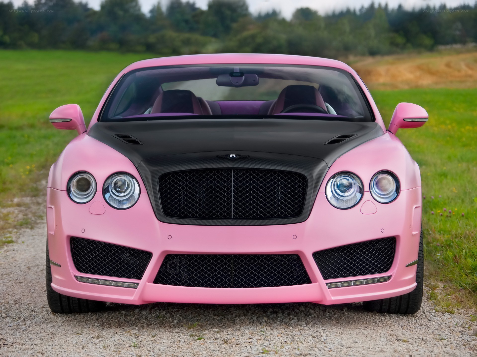 Pink Bentley Continental GT