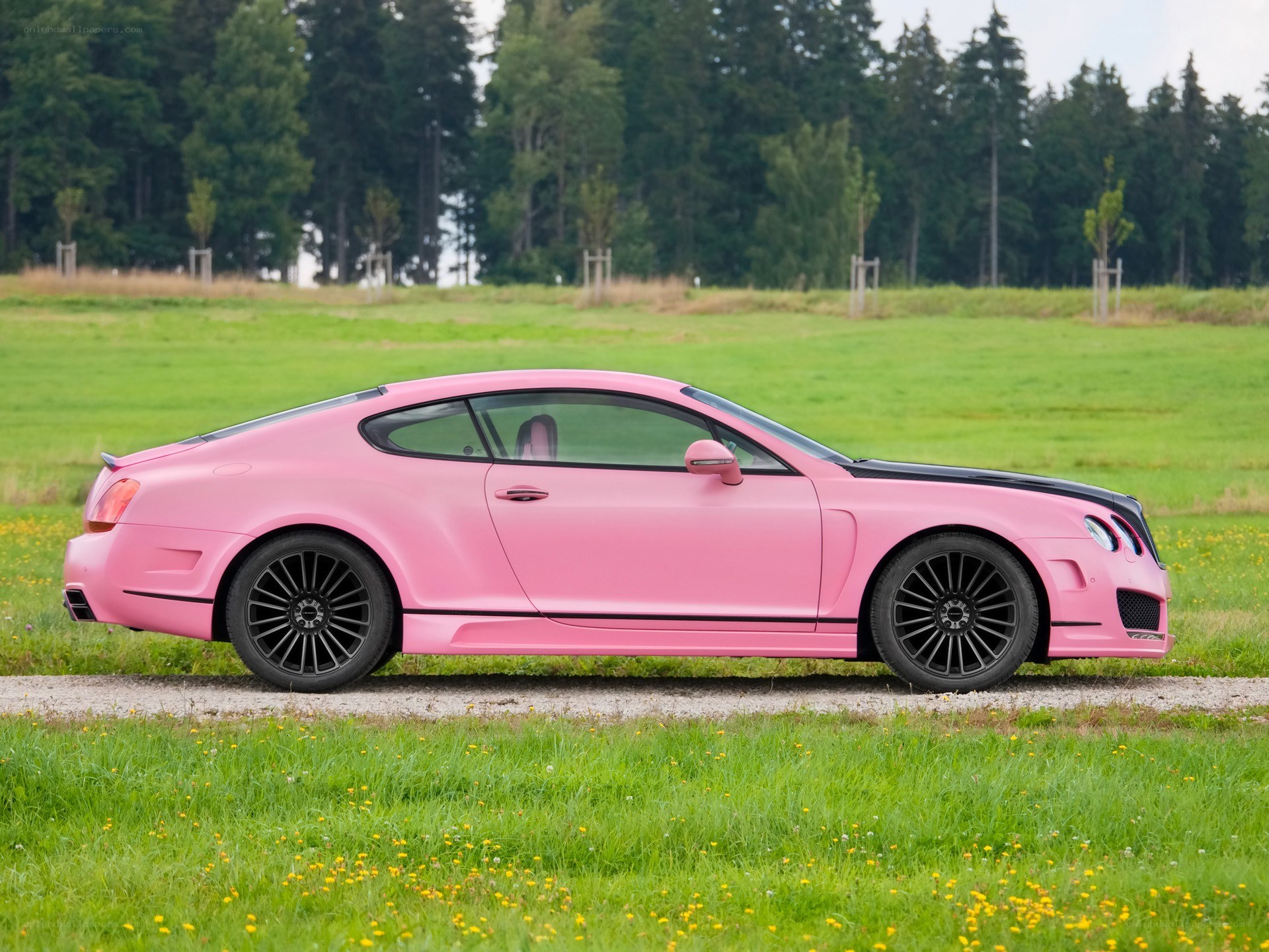 Pink Bentley Continental GT