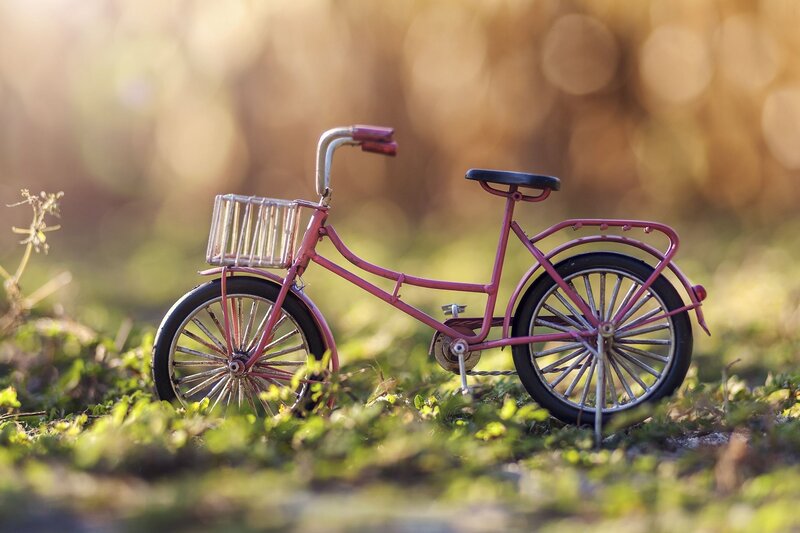 Pink Bicycle in Grass