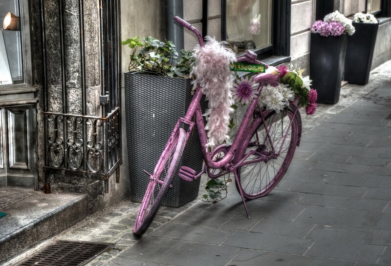 Pink Bicycle with Flowers — Calm