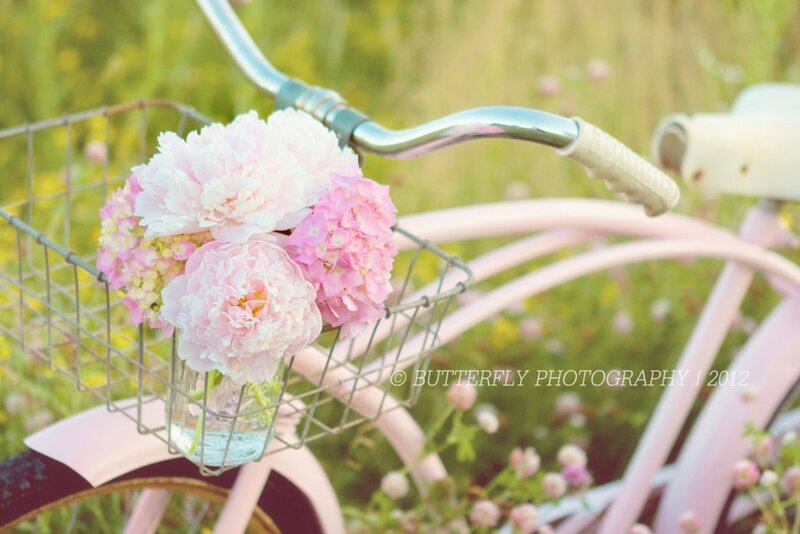 Pink Bicycle with Flowers — Serene, Summer