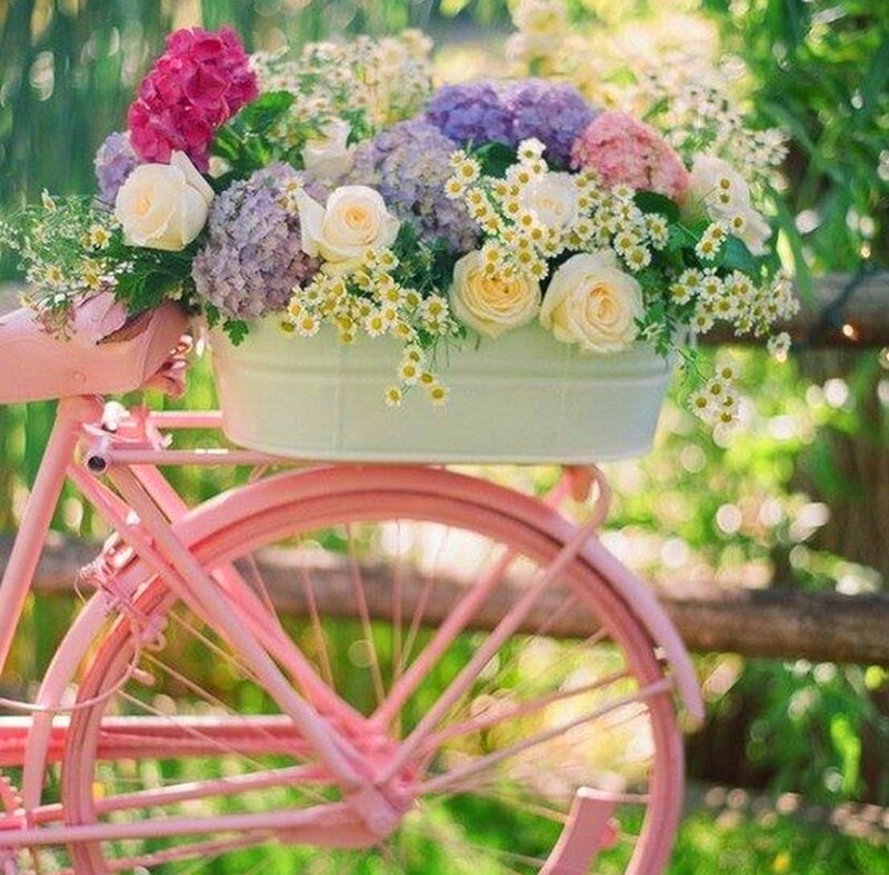 Pink Bicycle with Flowers — Serene