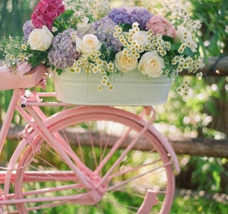 Pink Bicycle with Flowers