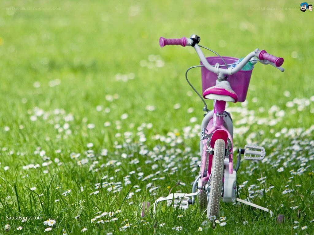 Pink bike in a meadow