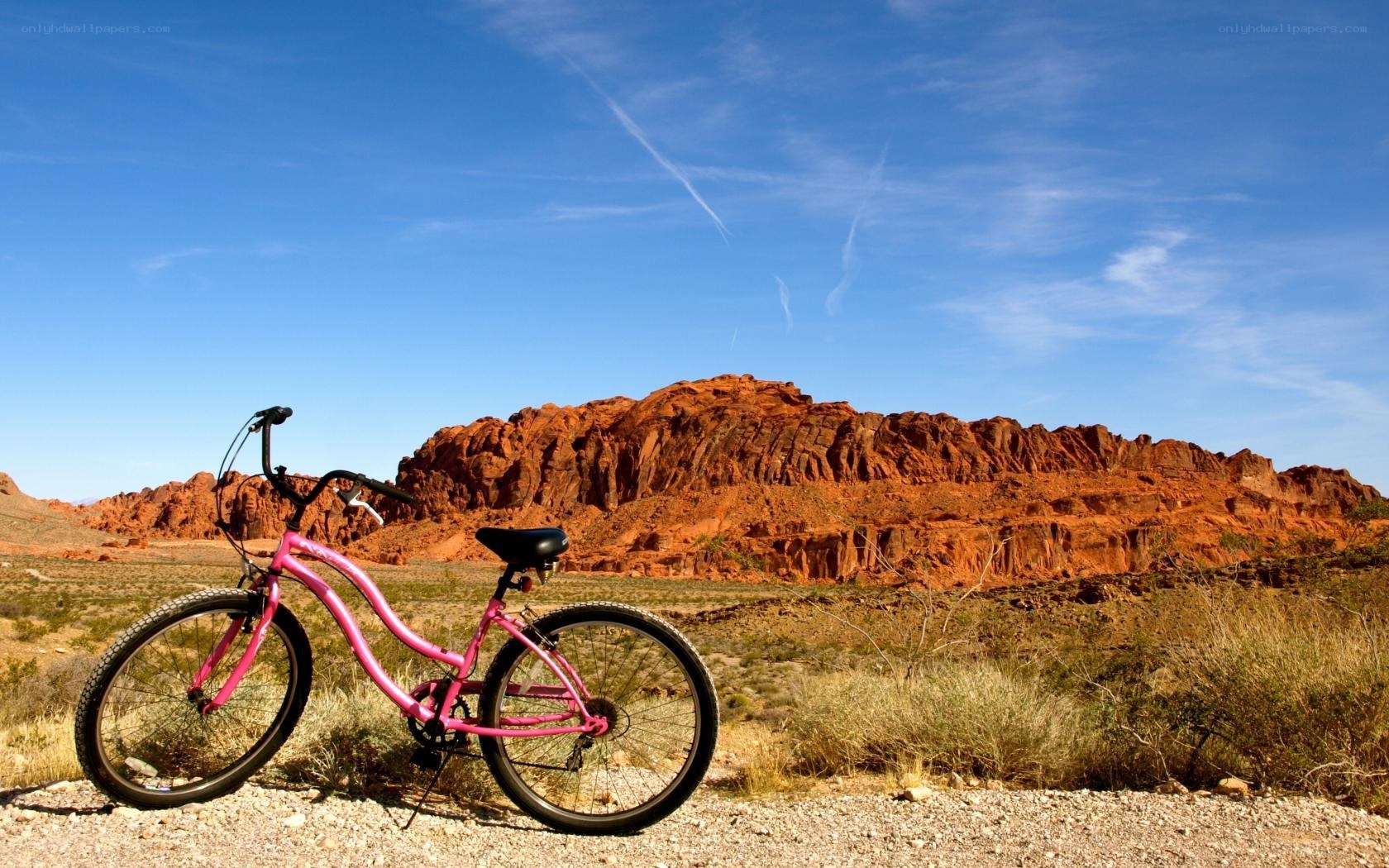Pink bike in desert landscape