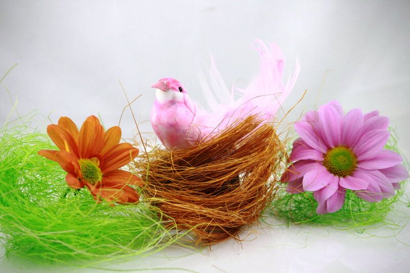 Pink Bird in Nest