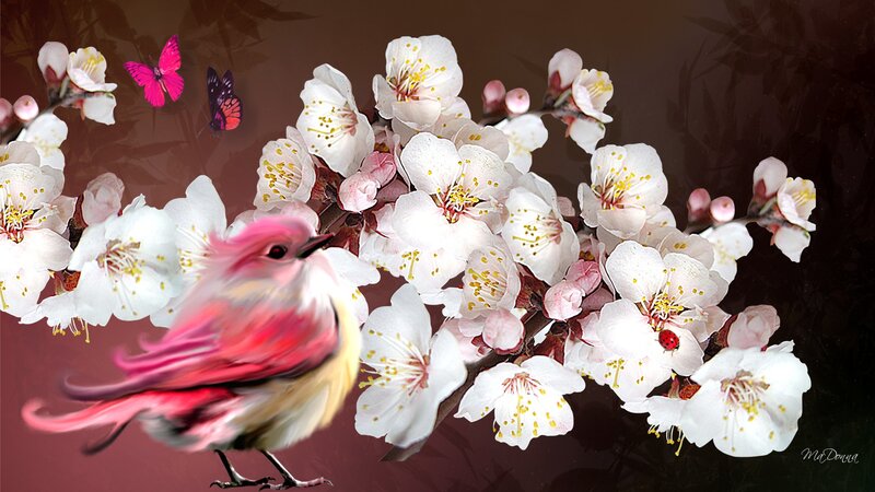 Pink Bird on Blossoms