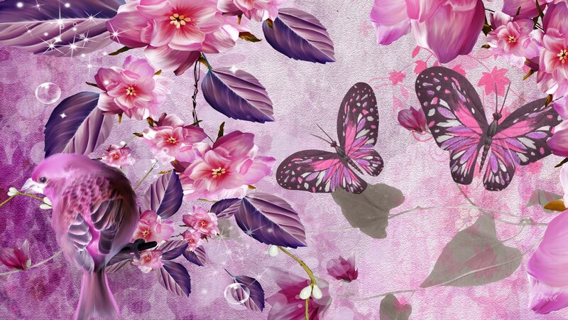 Pink Bird with Butterflies