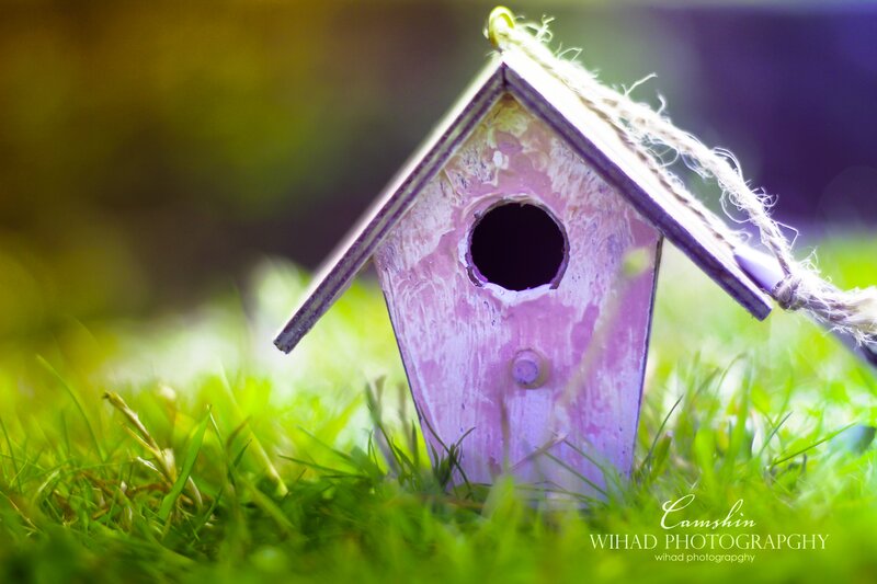 Pink Birdhouse in Grass