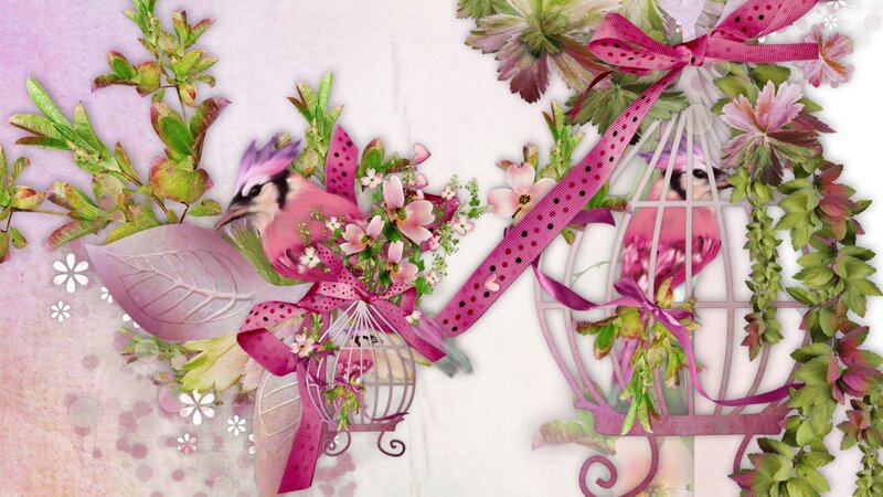 Pink Birds in Cages