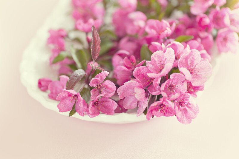 Pink Blossoms in Bowl