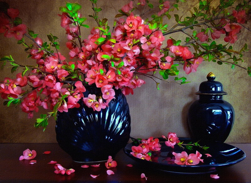 Pink Blossoms in Vase — Black