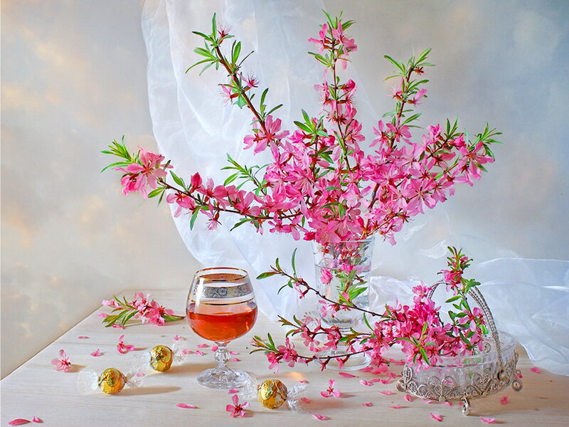 Pink Blossoms in Vase — Serene, Spring, Photograph