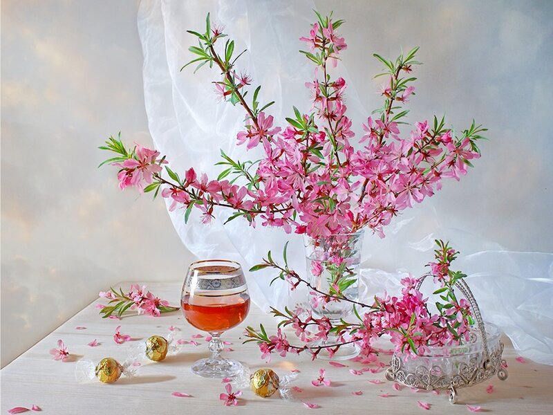 Pink Blossoms in Vase — Serene