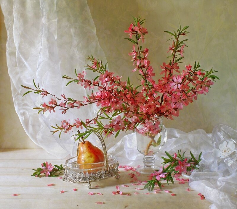 Pink Blossoms in Vase