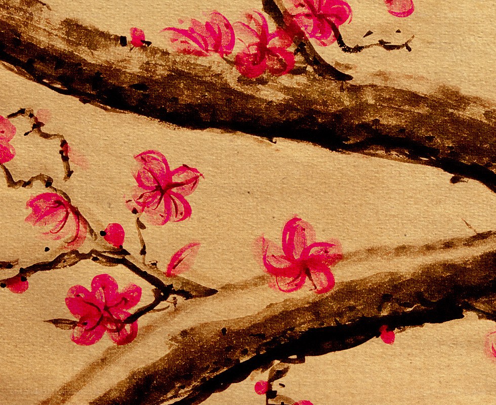 Pink blossoms on a branch